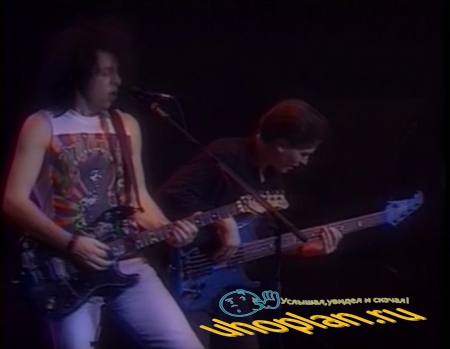 VA - Back to the 80's - Live in Concert (2004) DVDRip