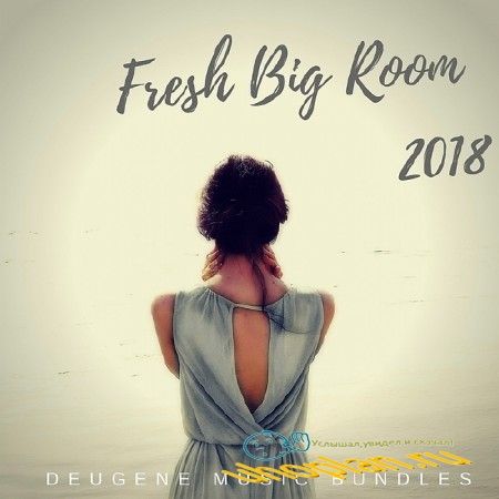 FRESH BIG ROOM (2018)