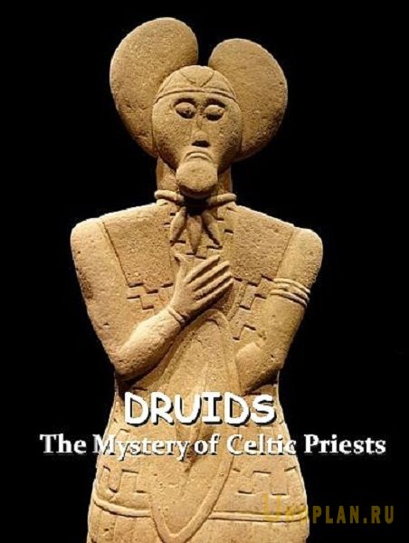 Друиды. Тайна кельтских жрецов / Druids. The Mystery of Celtic Priests (2020) DVB